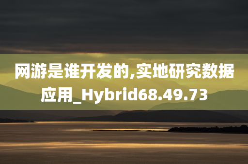 网游是谁开发的,实地研究数据应用_Hybrid68.49.73