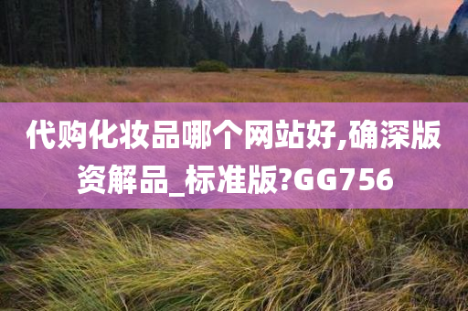 代购化妆品哪个网站好,确深版资解品_标准版?GG756