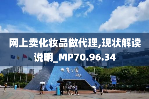 网上卖化妆品做代理,现状解读说明_MP70.96.34