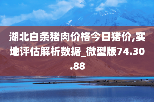 湖北白条猪肉价格今日猪价,实地评估解析数据_微型版74.30.88