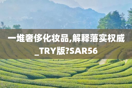 一堆奢侈化妆品,解释落实权威_TRY版?SAR56