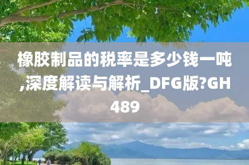 橡胶制品的税率是多少钱一吨,深度解读与解析_DFG版?GH489