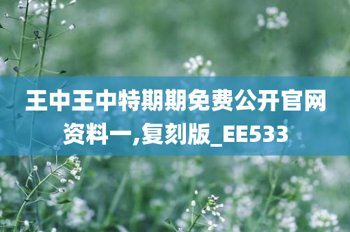 王中王中特期期免费公开官网资料一,复刻版_EE533