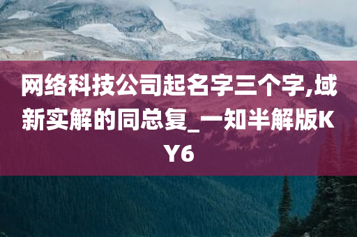 网络科技公司起名字三个字,域新实解的同总复_一知半解版KY6