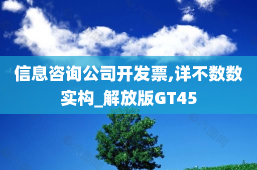 信息咨询公司开发票,详不数数实构_解放版GT45