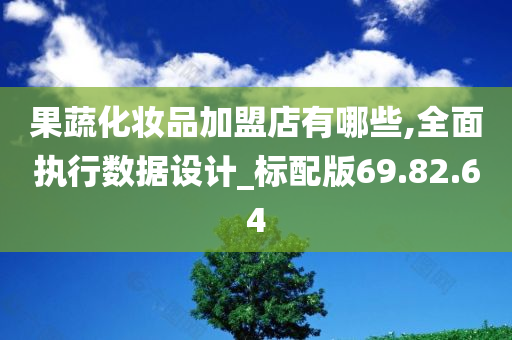 果蔬化妆品加盟店有哪些,全面执行数据设计_标配版69.82.64