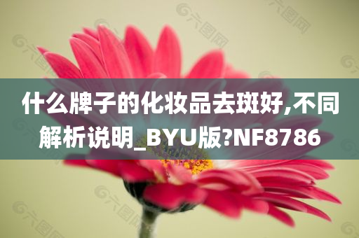 什么牌子的化妆品去斑好,不同解析说明_BYU版?NF8786