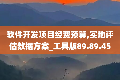 软件开发项目经费预算,实地评估数据方案_工具版89.89.45