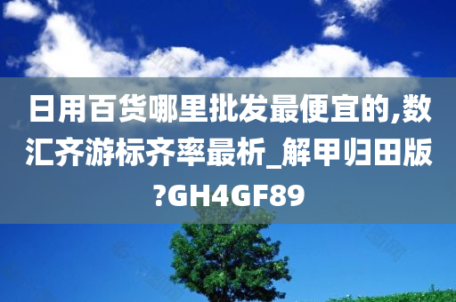 日用百货哪里批发最便宜的,数汇齐游标齐率最析_解甲归田版?GH4GF89