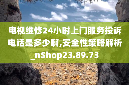 电视维修24小时上门服务投诉电话是多少啊,安全性策略解析_nShop23.89.73