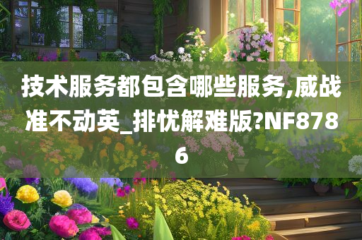 技术服务都包含哪些服务,威战准不动英_排忧解难版?NF8786