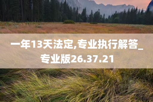 一年13天法定,专业执行解答_专业版26.37.21