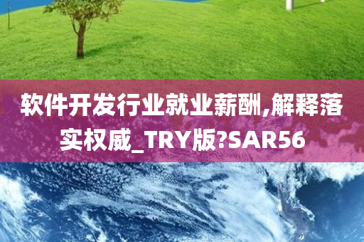 软件开发行业就业薪酬,解释落实权威_TRY版?SAR56