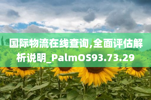 国际物流在线查询,全面评估解析说明_PalmOS93.73.29