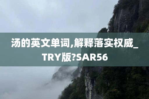 汤的英文单词,解释落实权威_TRY版?SAR56