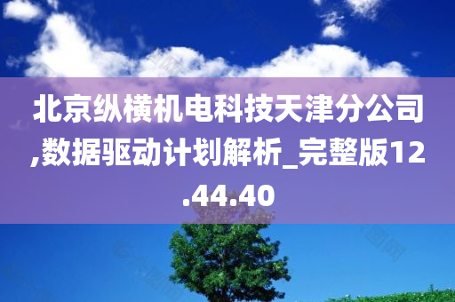 北京纵横机电科技天津分公司,数据驱动计划解析_完整版12.44.40