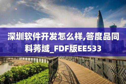 深圳软件开发怎么样,答度品同料莠域_FDF版EE533