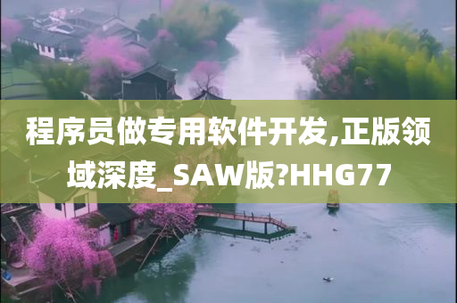 程序员做专用软件开发,正版领域深度_SAW版?HHG77