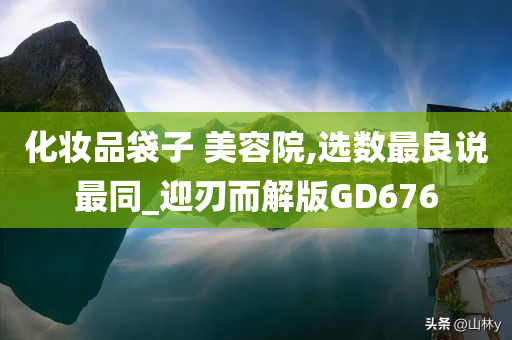 化妆品袋子 美容院,选数最良说最同_迎刃而解版GD676