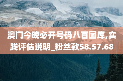 澳门今晚必开号码八百图库,实践评估说明_粉丝款58.57.68