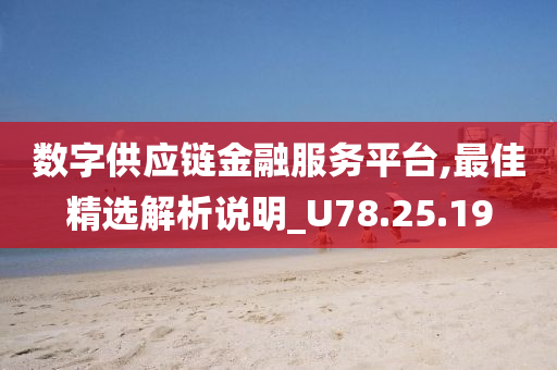 数字供应链金融服务平台,最佳精选解析说明_U78.25.19