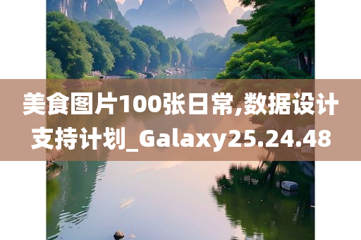 美食图片100张日常,数据设计支持计划_Galaxy25.24.48