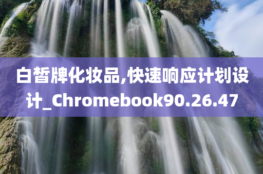 白皙牌化妆品,快速响应计划设计_Chromebook90.26.47