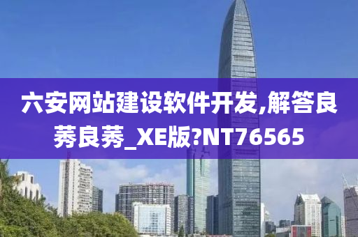 六安网站建设软件开发,解答良莠良莠_XE版?NT76565