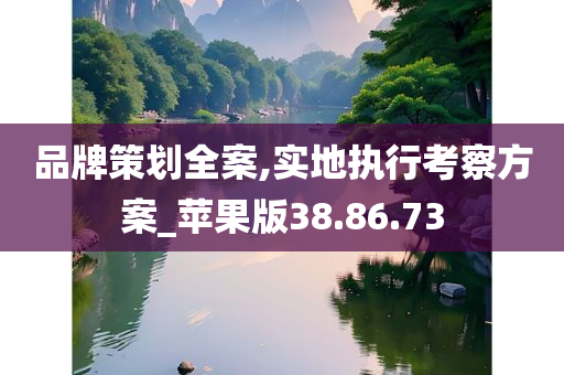 品牌策划全案,实地执行考察方案_苹果版38.86.73