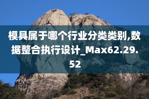 模具属于哪个行业分类类别,数据整合执行设计_Max62.29.52