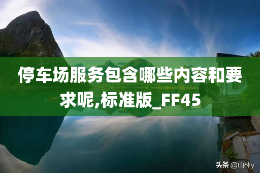 停车场服务包含哪些内容和要求呢,标准版_FF45