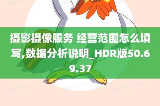 摄影摄像服务 经营范围怎么填写,数据分析说明_HDR版50.69.37