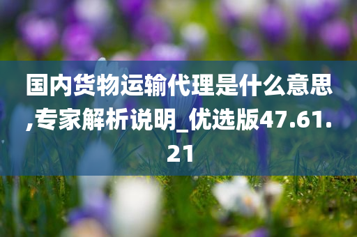 国内货物运输代理是什么意思,专家解析说明_优选版47.61.21