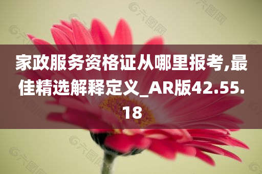 家政服务资格证从哪里报考,最佳精选解释定义_AR版42.55.18