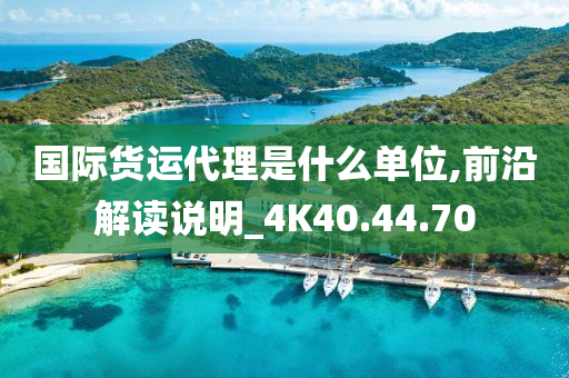 国际货运代理是什么单位,前沿解读说明_4K40.44.70