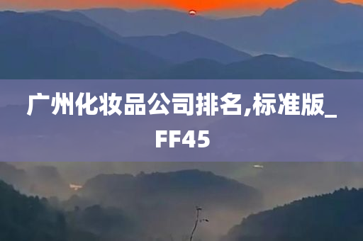 广州化妆品公司排名,标准版_FF45