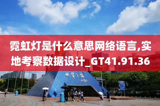 霓虹灯是什么意思网络语言,实地考察数据设计_GT41.91.36