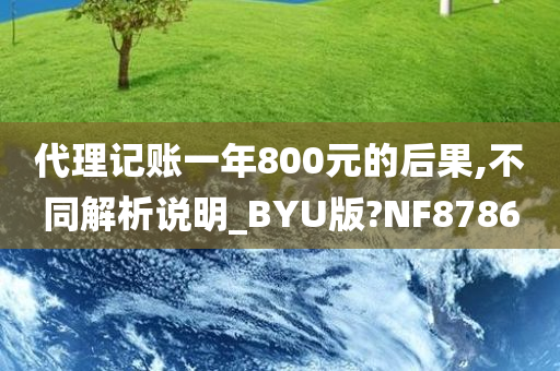 代理记账一年800元的后果,不同解析说明_BYU版?NF8786