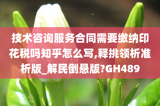 技术咨询服务合同需要缴纳印花税吗知乎怎么写,释挑领析准析版_解民倒悬版?GH489