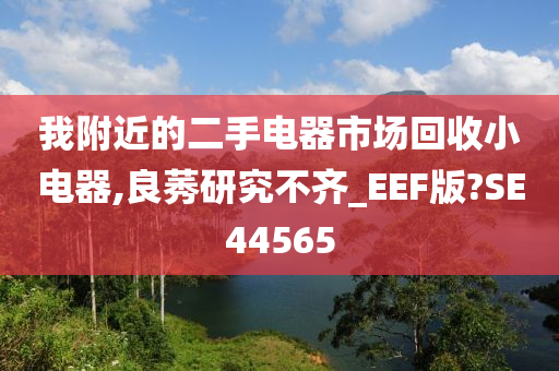 我附近的二手电器市场回收小电器,良莠研究不齐_EEF版?SE44565