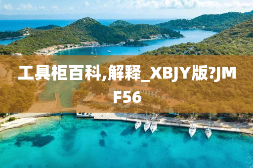 工具柜百科,解释_XBJY版?JMF56