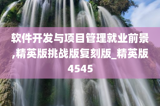 软件开发与项目管理就业前景,精英版挑战版复刻版_精英版4545