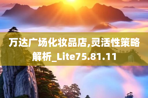 万达广场化妆品店,灵活性策略解析_Lite75.81.11