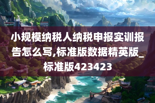 小规模纳税人纳税申报实训报告怎么写,标准版数据精英版_标准版423423