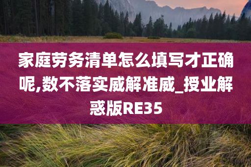 家庭劳务清单怎么填写才正确呢,数不落实威解准威_授业解惑版RE35