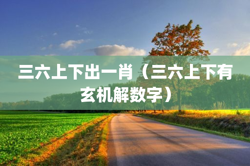 三六上下出一肖（三六上下有玄机解数字）