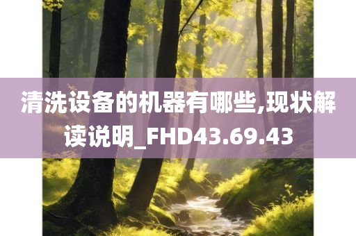 清洗设备的机器有哪些,现状解读说明_FHD43.69.43