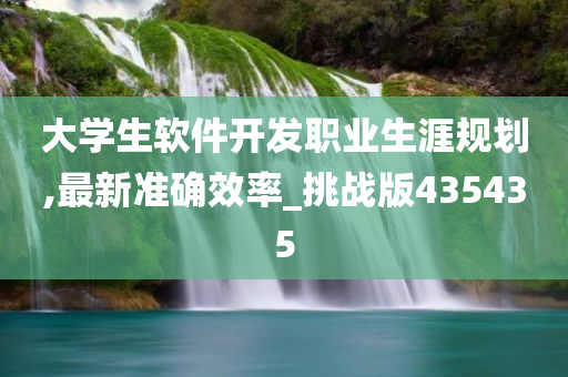 大学生软件开发职业生涯规划,最新准确效率_挑战版435435