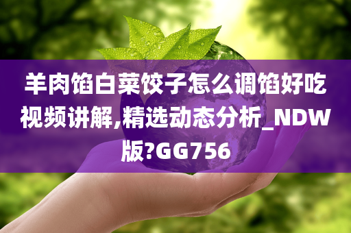 羊肉馅白菜饺子怎么调馅好吃视频讲解,精选动态分析_NDW版?GG756