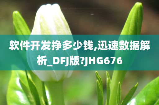 软件开发挣多少钱,迅速数据解析_DFJ版?JHG676